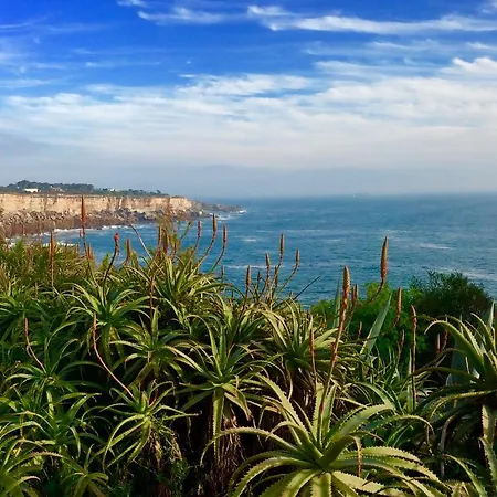 民宿 朵思特埃克斯民宿 *
