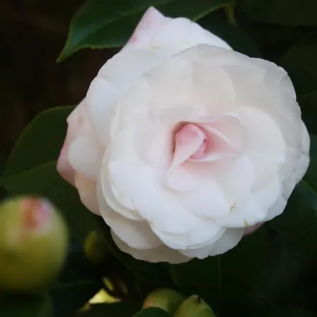 朵思特埃克斯民宿