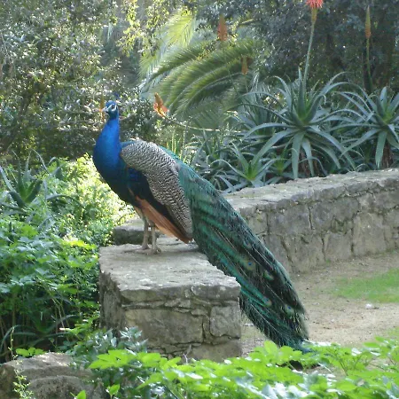 朵思特埃克斯民宿 民宿