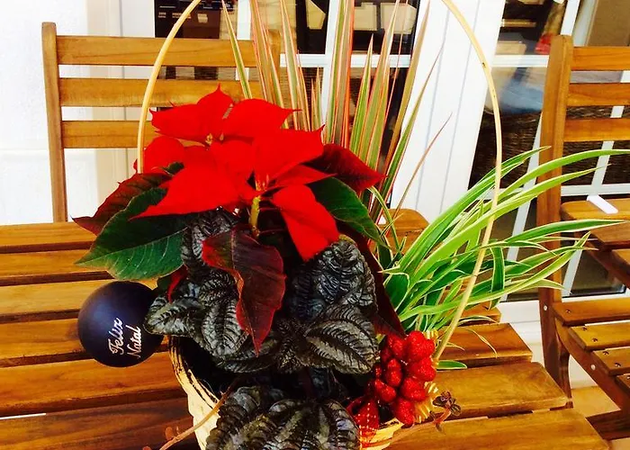 ホームステイ Dos Teixos カスカイス