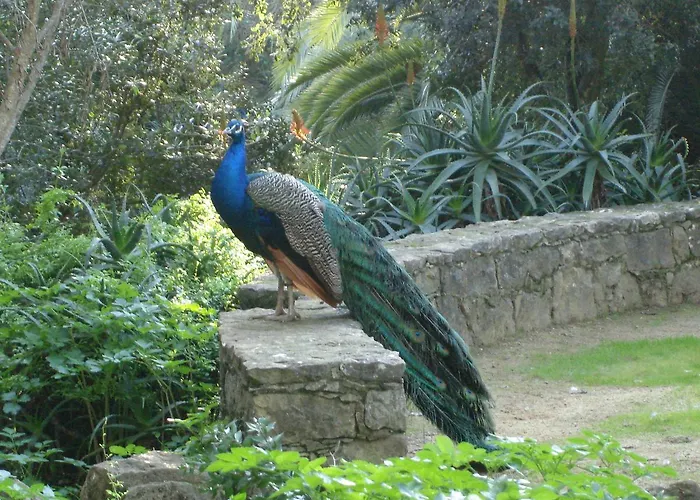 Dos Teixos ホームステイ