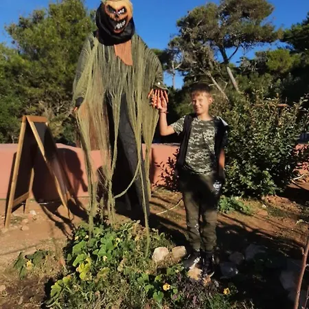 Проживание в семье Dos Teixos